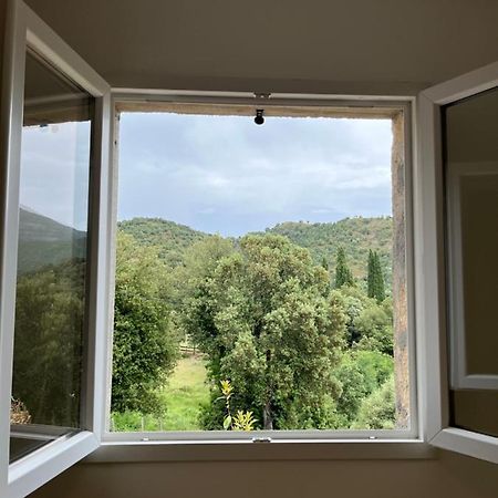 Appartement Soveria Экстерьер фото