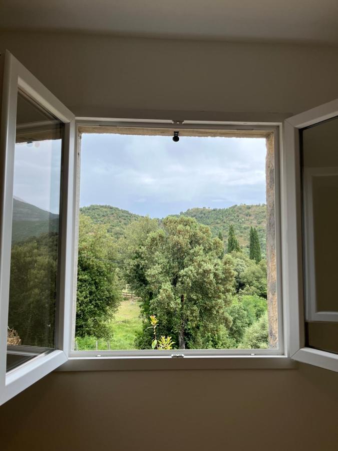 Appartement Soveria Экстерьер фото